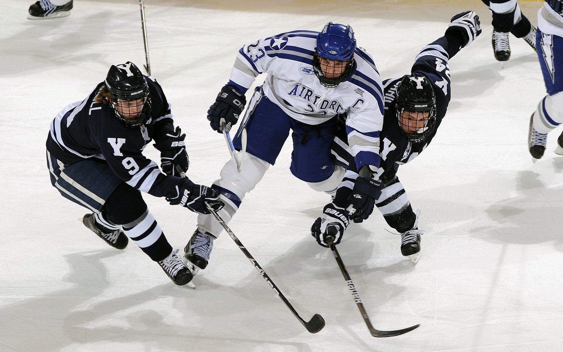 “本土教练培养计划取得显著成效”，教练员培养体系