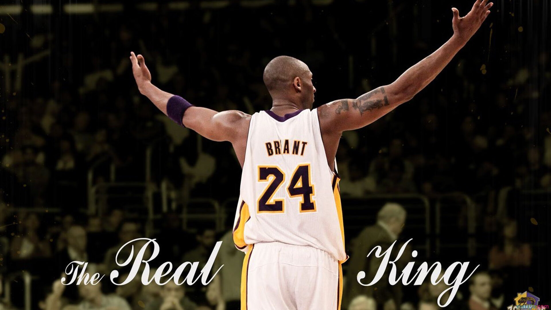 全国青少年“篮球+创新”创业孵化基地在广州正式启动，推动行业高质量发展